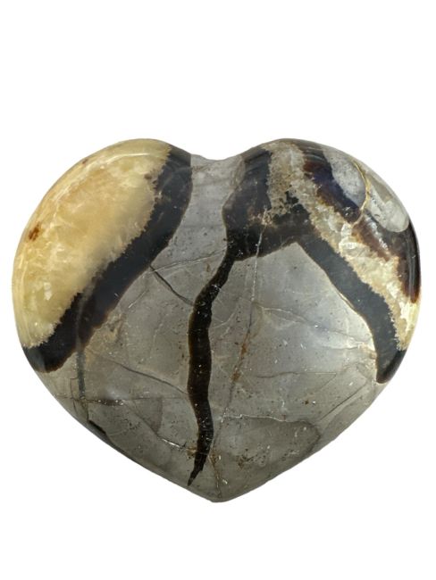 Corazón de Septaria 569gr