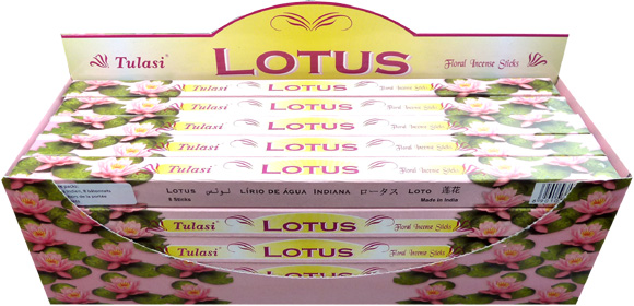 Encanta tulasi sarathi lotus 8bts