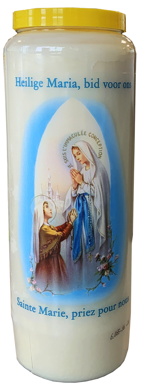 Novena Nuestra Senora de Lourdes con oración