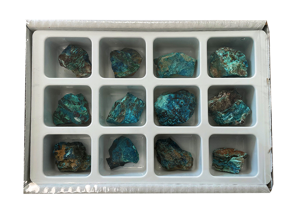 Expositor de 12 piezas Chrysocolla-Malachite crudo