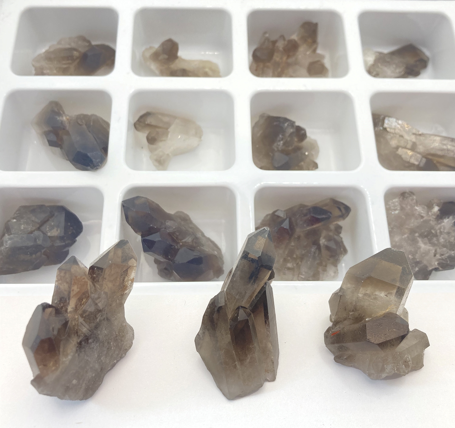 Expositor de 12 piezas cristal de roca ahumada