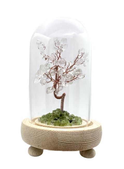 Árbol de la Vida Cristal de Roca bajo cúpula con caja