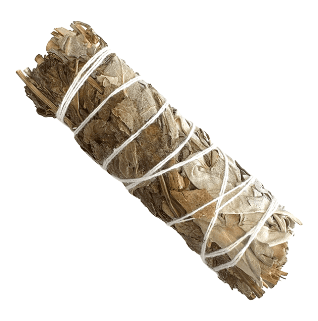 incienso en Paquete de salvia blanca y menta 25-30 g 10 cm|es