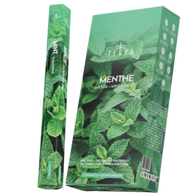 Incienso Terra menta hexa sin carbón 30grs