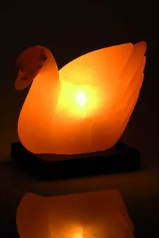 Lámpara de sal de pato 2-3 kg