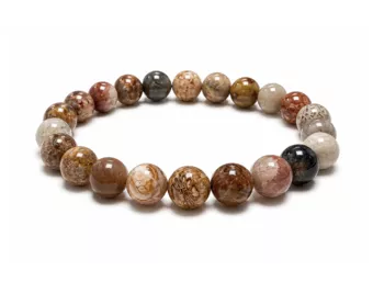Pulsera de Coral Fósil A+ Cuentas de 8 mm