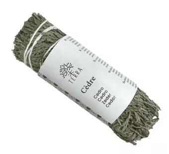 Paquete de thuja natural de cedro blanco 25-30g 10cm