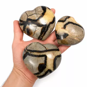 Lote de 3 corazones de septaria de 1000 g