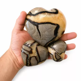 Juego de 3 corazones de septaria 1010g