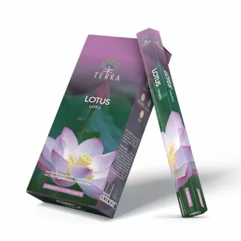 Incienso Terra Lotus hexa sin carbón 30grs