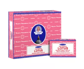 Conos de reflujo de loto Satya, 12 unidades