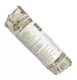 Paquete de dólar de salvia blanca y eucalipto 25-30 g 10 cm