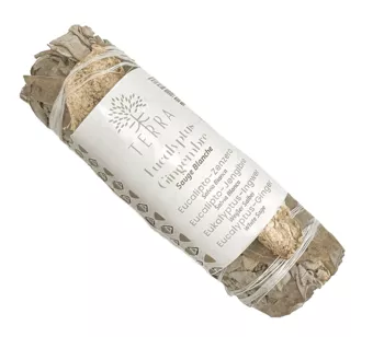 Paquete Salvia Blanca Eucalipto y Jengibre 25-30g 10cm