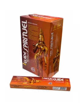 Incienso Padmini Masala Spiritual Guide 15g