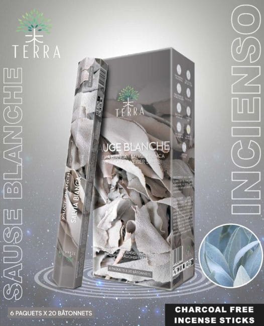 Incienso sin carbón Terra White Sage hexa