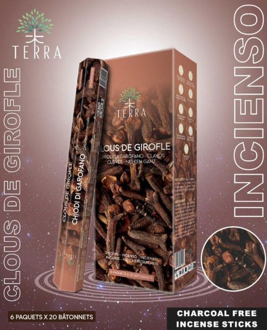 incienso en Incienso Terra clavo hexa sin carbón 30grs|es